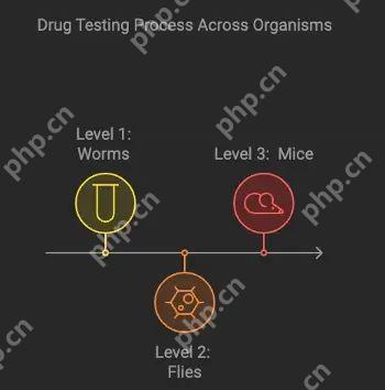 Pump.Science是什么 Pump.Science值得购买吗 - php中文网